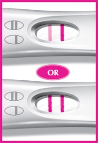https://www.firstresponse.com/en-ca/products/pregnancy/~/media/776FCF16EDF74E0A82133DA07AD18228.ashx?h=294&w=202