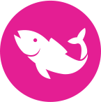 DHA and fish icon.