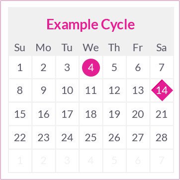 Example ovulation cycle on calendar view.